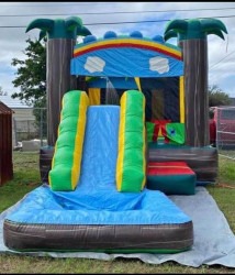 Island Paradise Bouncer
