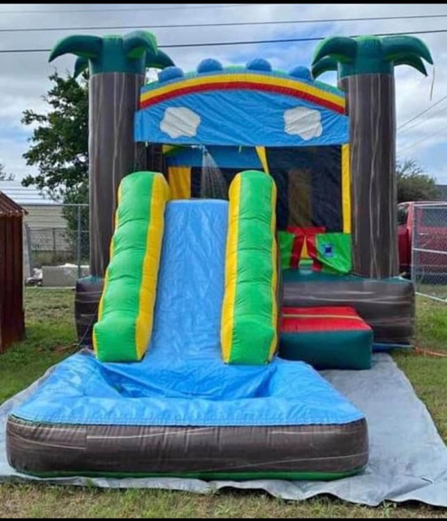 Island Paradise Bouncer