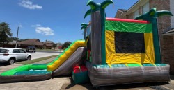 island20bouncer20pic202 1754347582 Island Paradise Bouncer